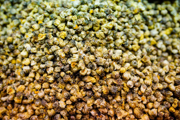 Dried chrysanthemum flowers.