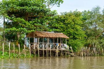 Obraz premium Delta of Mekong river