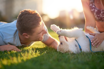 Couple playing with their puppy dog at sunset