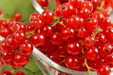 Red currants