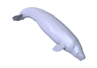 3D Rendering Beluga White Whale on White
