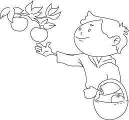 Obraz premium Boy taking apples from the tree – line art