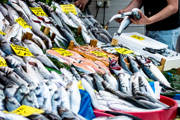 fresh fish