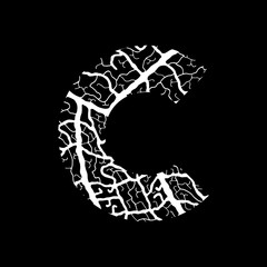 Nature alphabet, ecology decorative font. Capital letter C filled with leaf veins pattern white on black background. Leaves texture hand draw nature alphabet. Vector illustration.