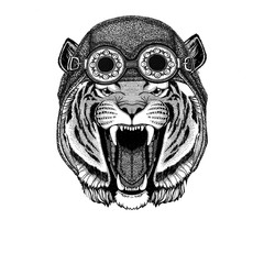 Wild tiger wearing aviator hat Motorcycle hat with glasses for biker Illustration for motorcycle or aviator t-shirt with wild animal
