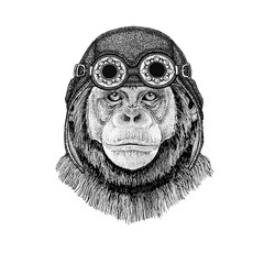 Chimpanzee Monkey wearing aviator hat Motorcycle hat with glasses for biker Illustration for motorcycle or aviator t-shirt with wild animal