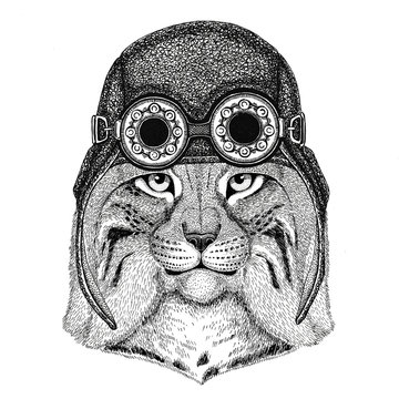 Wild cat Lynx Bobcat Trot wearing aviator hat Motorcycle hat with glasses for biker Illustration for motorcycle or aviator t-shirt with wild animal