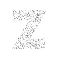 Nature alphabet, ecology decorative font. Capital letter Z filled with leaf veins pattern black on white outline background. Leaves texture hand draw nature alphabet. Vector illustration.
