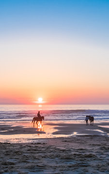 LACANAU - LE PORGE (France, c&ocirc;te atlantique), cavaliers au coucher de soleil