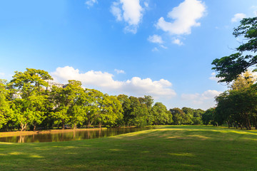 Green trees in beautiful park under the blue sky