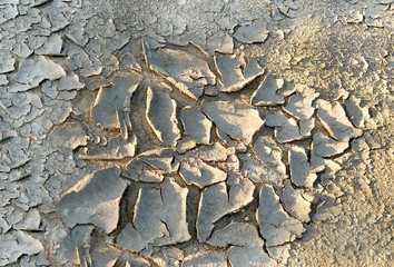 Dried ground texture, texture of the crackled clay, arid land