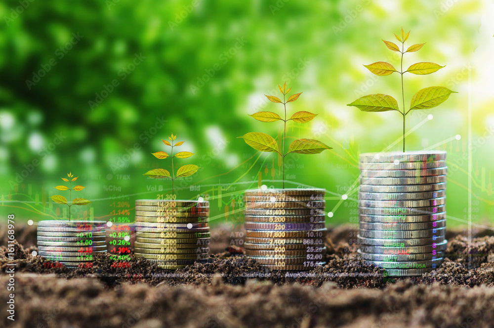 Poster stack of coin growth money and tree concept finance indices on nature background
