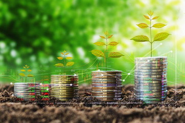 stack of coin growth money and tree concept finance indices on nature background