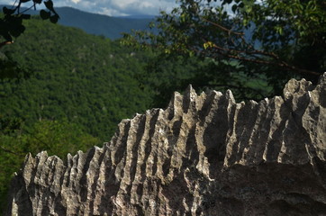 Surface rocky limestone, gray limestone and background in Thailand (1)