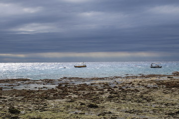 Coral Quay fishing