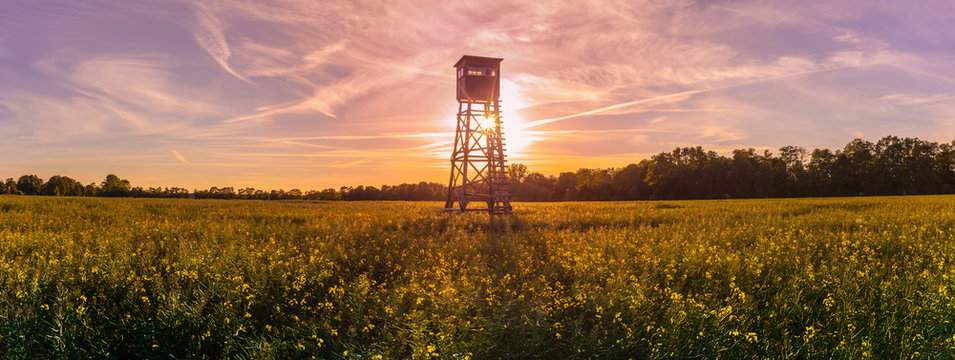 Jagd J&auml;ger Hochsitz im Morgenlicht Panorama Rapsfeld Landleben Weidwerk Forstwirtschaft Ackerbau Raps weitwinkel, weiter blick, hochaufl&ouml;send, XXL Panorama Sonnenaufgang tagesanbruch morgens