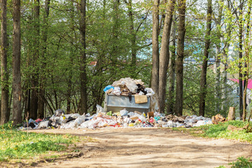 Garbage dump in the forest, the pollution of nature