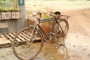 Vintage bicycles