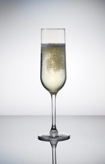 Glass of white champagne wine on table