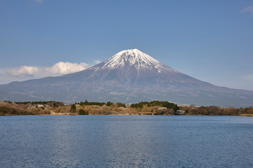 Fototapeta premium 田貫湖からの富士山