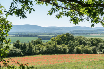 Blick vom Höhenzug Fallstein über das Harzvorland mit auf die Bergkette des Harzes 