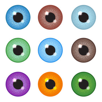 Realistic eyeball set. Vector illustration.