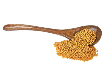 Mustard seeds in wooden spoon over white background