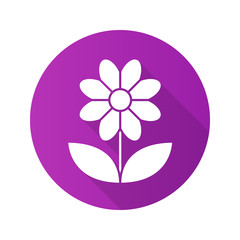 Camomile flat design long shadow icon
