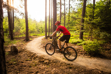 Fototapeta na wymiar Mountain biker riding cycling in summer forest