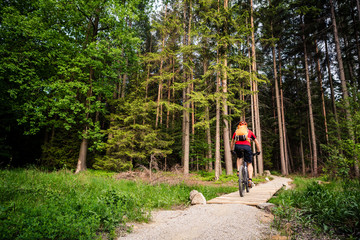 Fototapeta premium Mountain biker riding cycling in green inspiring forest