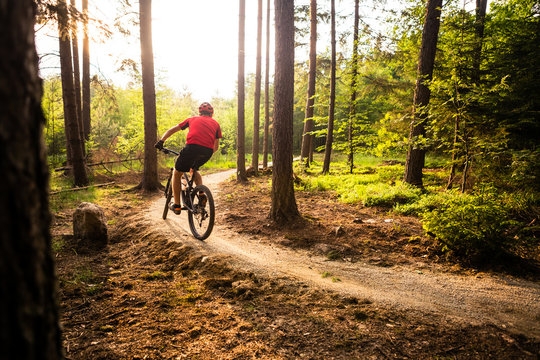 Mountain biker riding cycling in summer forest