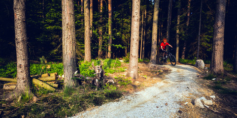 Mountain biker riding cycling in summer forest