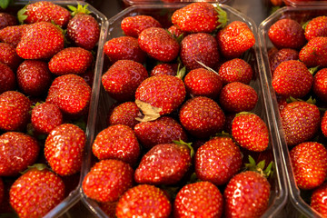 Strawberries in a basket