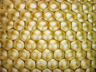 beeswax texture without honey