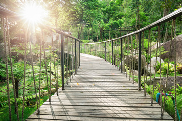 Low view over surface of wooden curved bridge hanging by rope inside green garden with sunlight in afternoon.
