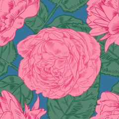 Hand-drawing peonies. Vector graphic flowers. Decorative background for cards, invitations. Template greeting card.