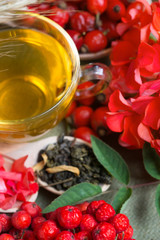 Medicinal plants and herbs composition: Dog rose, bunch branch Rosehips, types Rosa canina hips, essential oil. bunch,  herbal Tea with rosehip, dried flowers of linden and chamomile - pharmacy 
