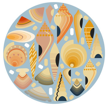 Vector illustration of Scallop seashell.  Illustrations suitable for summer trips on the sea or for dishes made from sea food