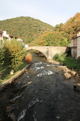 Fototapeta na wymiar Pont sur le fleuve Aude, Occitanie dans le sud de la France