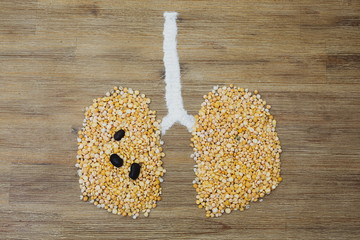 Overhead shot of human lungs made of dry yellow peas on wooden background. Lung cancer tumor smoking air pollution concept. Clean air protection issue symbol.