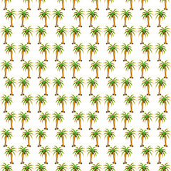 Palm tree pattern