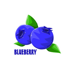 logo icon design Blueberry farm