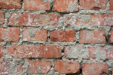 Brick wall texture