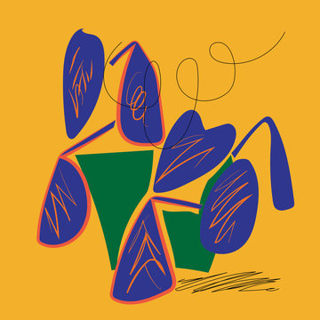 Prayer Plant