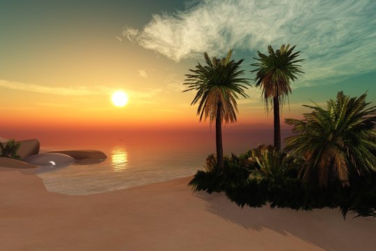 Tropical beach
Ocean beach with palm trees on sunset background
Sun over the sea
