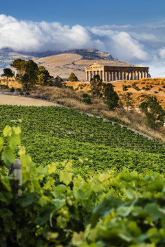 Italy, Sicily, Trapani district, Segesta, Temple of Segesta