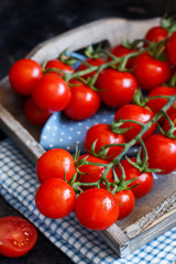 Cherry tomatoes on a dark background