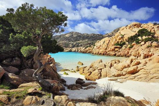 Italy, Sardinia, Olbia-Tempio district, Parco Nazionale Arcipelago di la Maddalena, Caprera