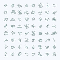 Big natural icon set