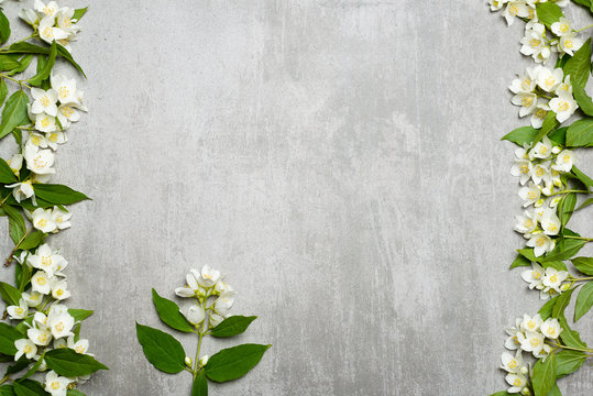 Fototapeta Jasmine flowers on gray concrete background
